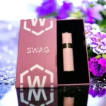 SWAG皮革主機顏色推薦